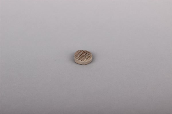 汉圆形灰陶片
