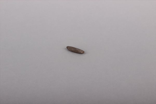 商灰陶网坠