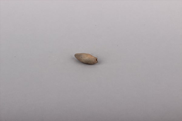 商灰陶网坠